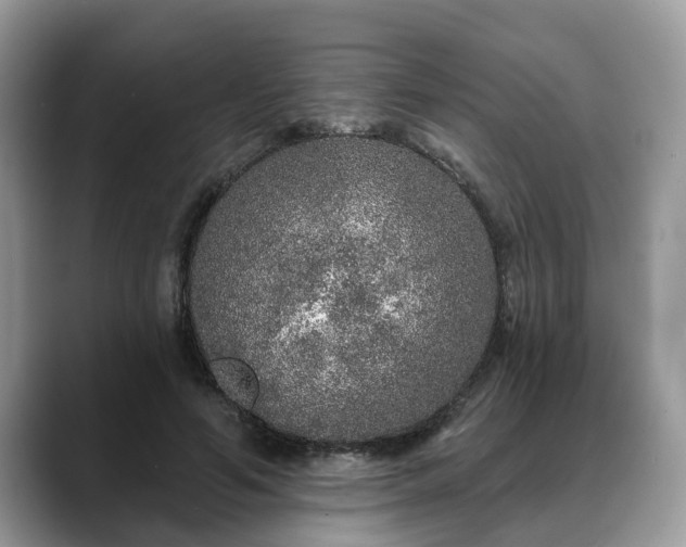 X0000088670594200706071501