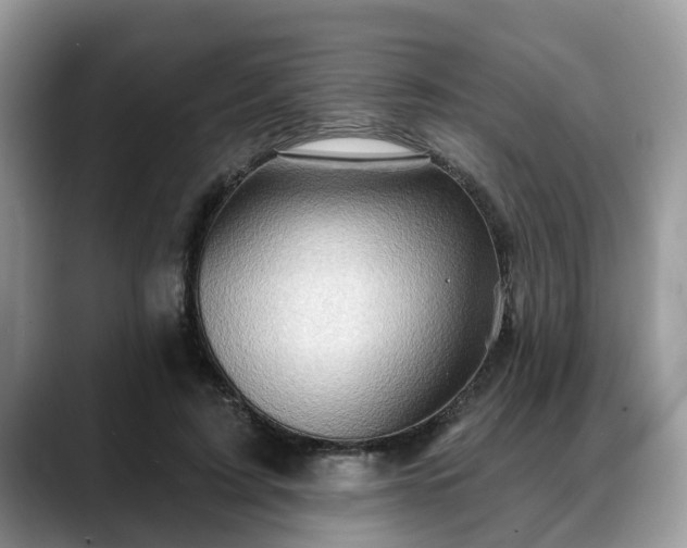 X0000088670595200706071501