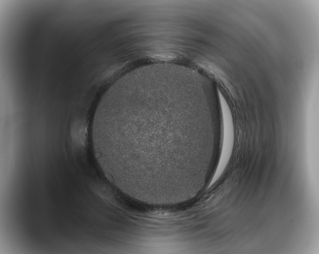 X0000088670596200706071501