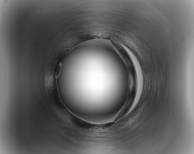 X0000088670597200706071501