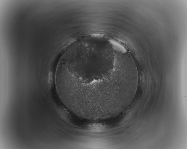 X0000088670598200706071501