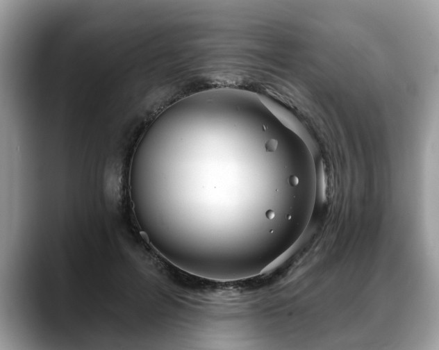 X0000088670600200706071501