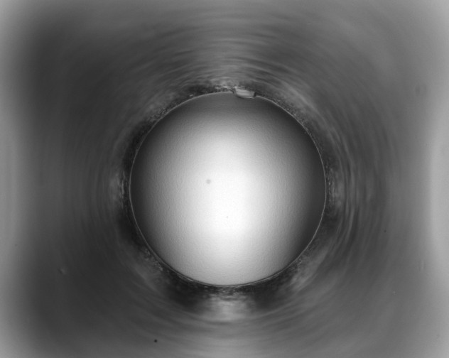 X0000088670603200706071501