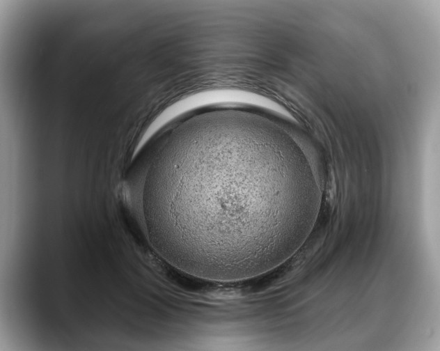 X0000088670604200706071501