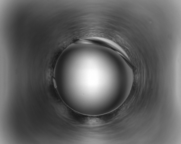X0000088670605200706071501
