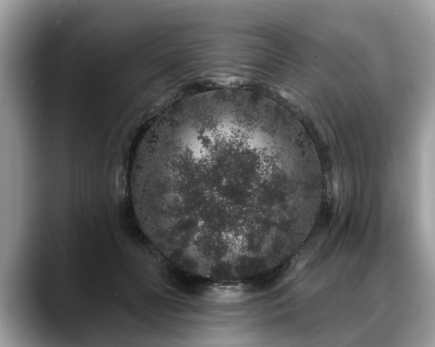 X0000088670606200706071501