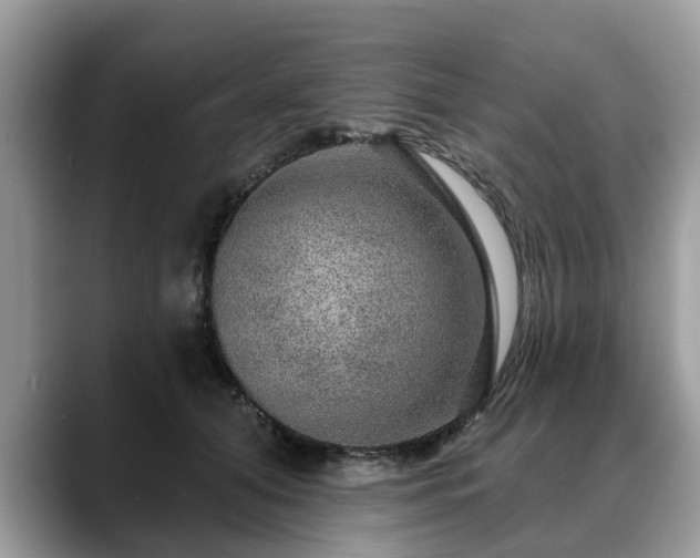 X0000088670608200706071501
