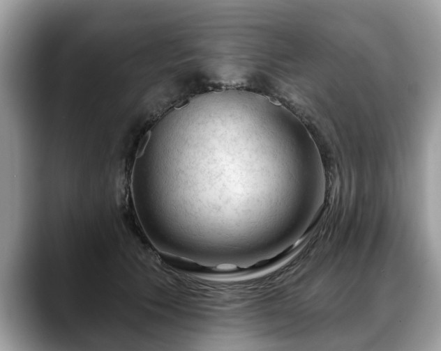 X0000088670609200706071501