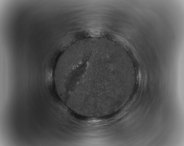 X0000088670610200706071501