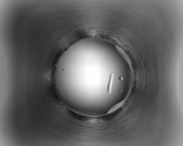 X0000088670611200706071501