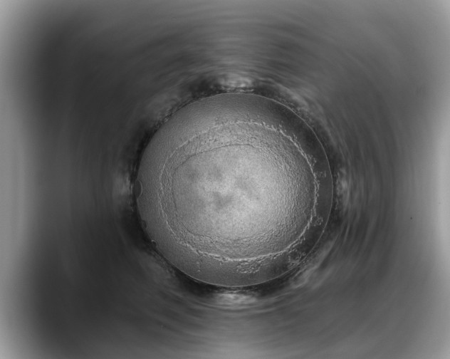 X0000088670614200706071501