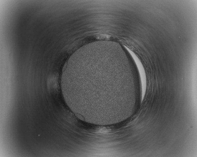 X0000088670616200706071501