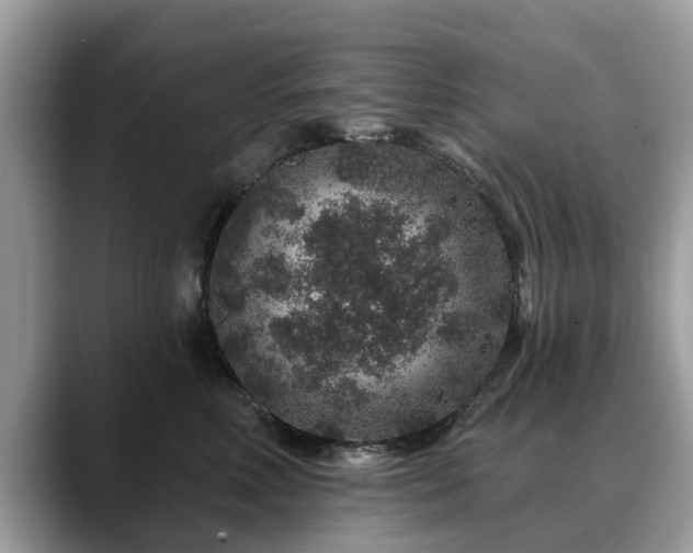 X0000088670618200706071501
