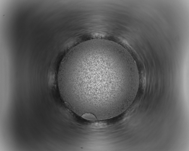 X0000088670619200706071501