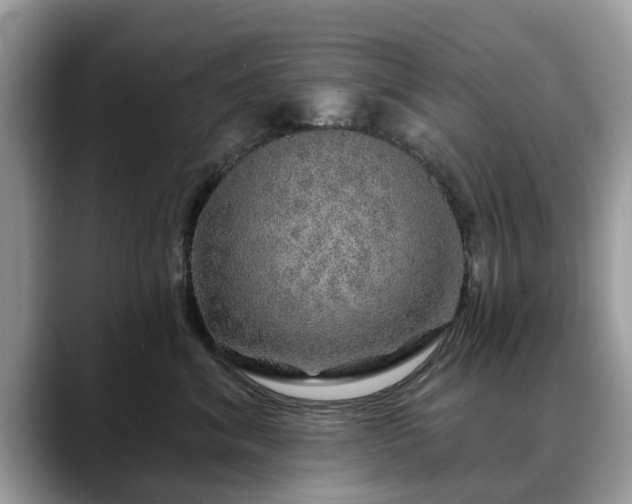 X0000088670620200706071501