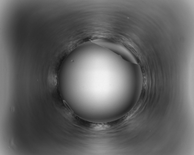 X0000088670621200706071501