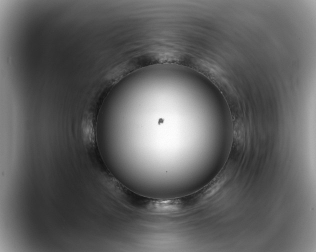 X0000088670622200706071501