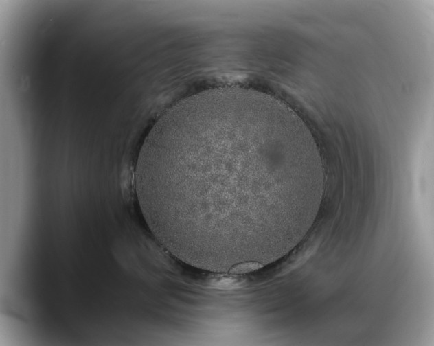 X0000088670624200706071501