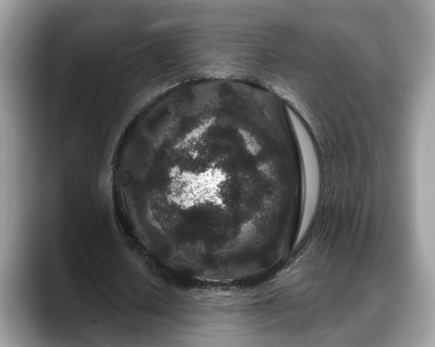 X0000088670626200706071500