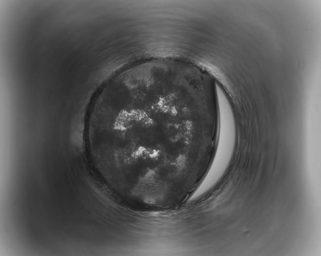 X0000088670627200706071500