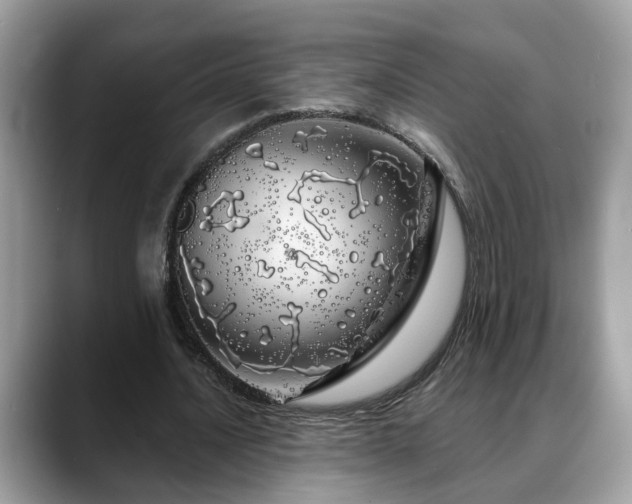 X0000088670628200706071500