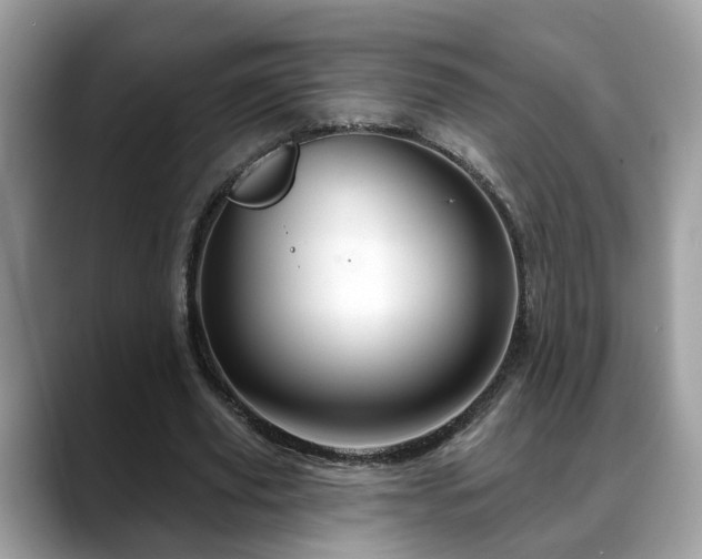 X0000088670629200706071500