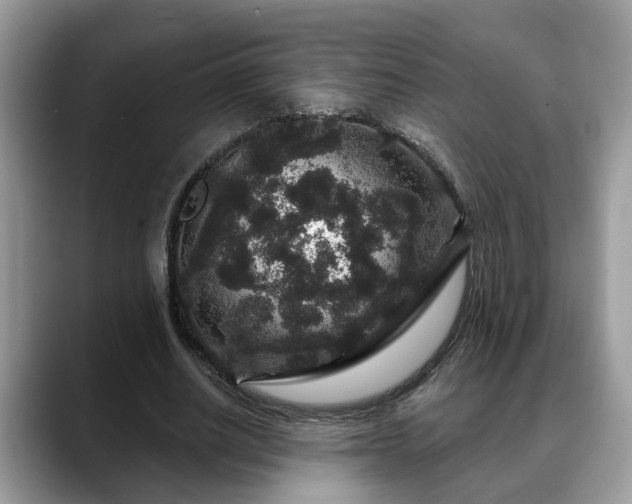 X0000088670630200706071500
