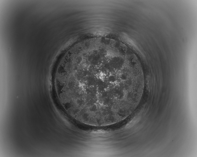 X0000088670634200706071500