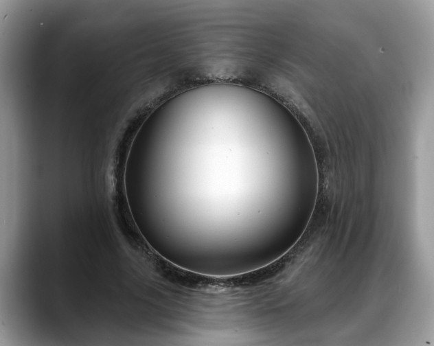 X0000088670635200706071500