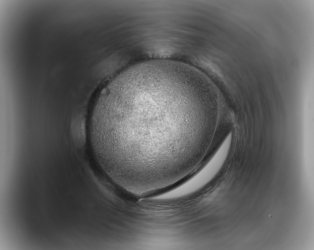 X0000088670638200706071500