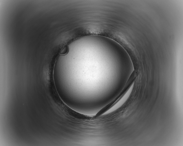 X0000088670639200706071500