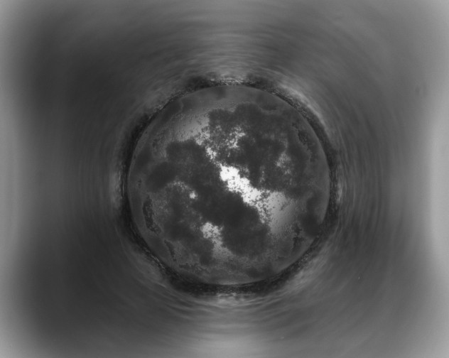 X0000088670641200706071500