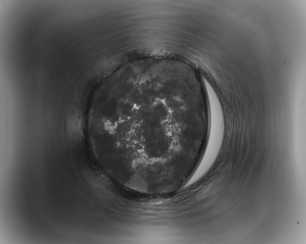 X0000088670643200706071500