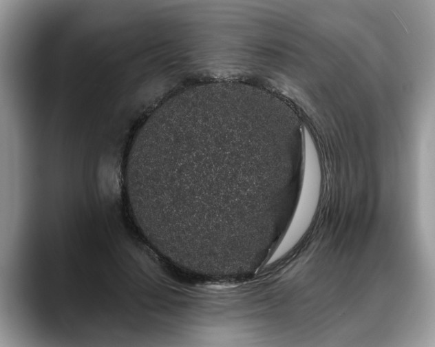 X0000088670644200706071500