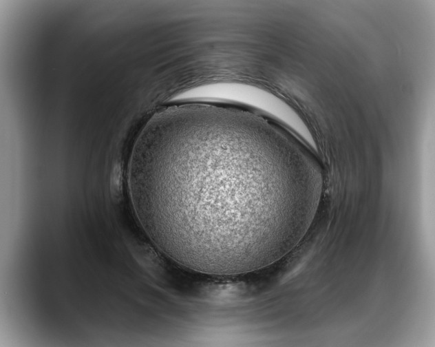 X0000088670646200706071500
