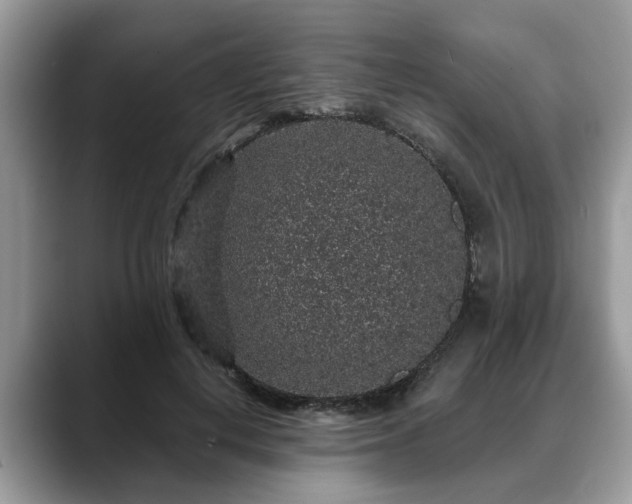 X0000088670648200706071500