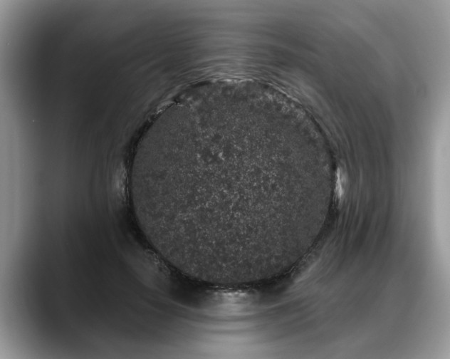 X0000088670650200706071500