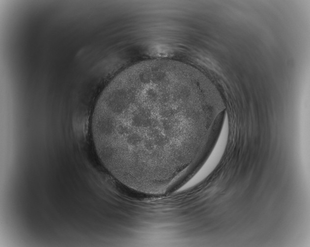 X0000088670652200706071500