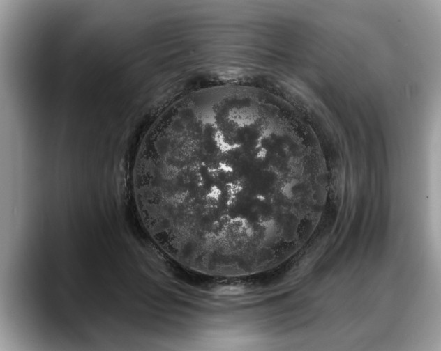 X0000088670653200706071500