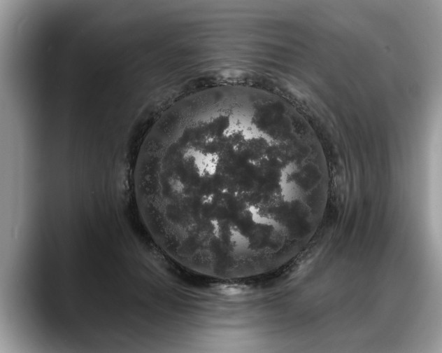 X0000088670654200706071500