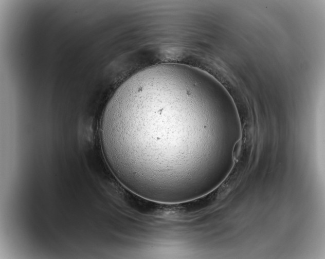 X0000088670655200706071500
