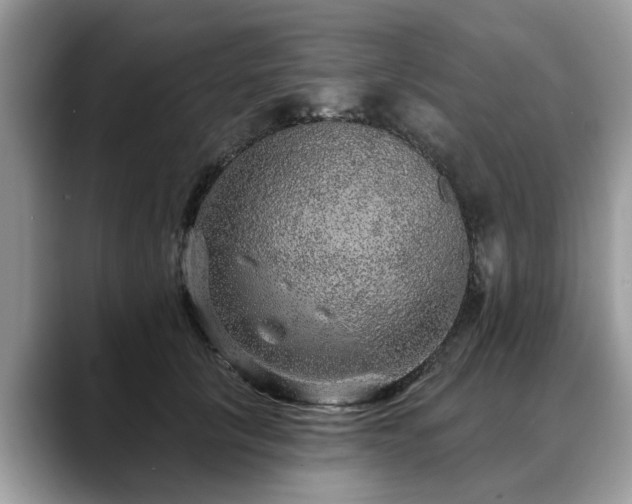 X0000088670657200706071500