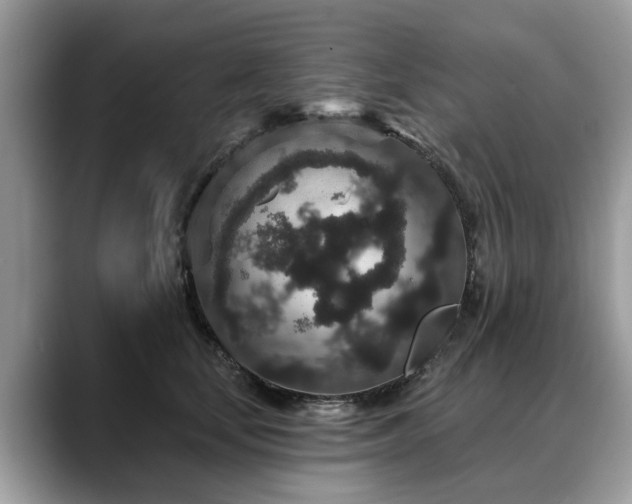 X0000088670659200706071501