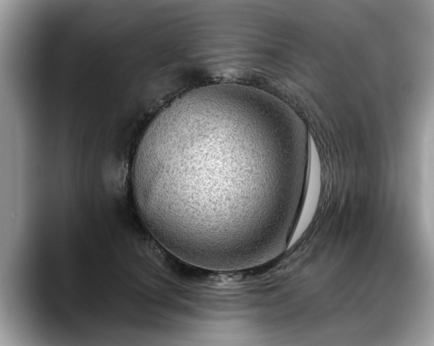 X0000088670660200706071501