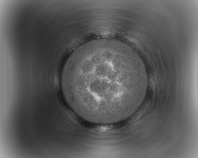 X0000088670662200706071501