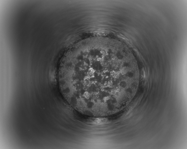 X0000088670663200706071501
