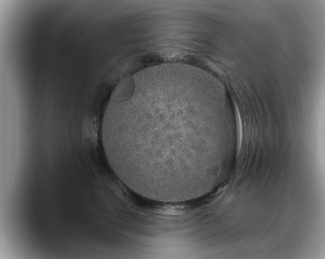 X0000088670664200706071501