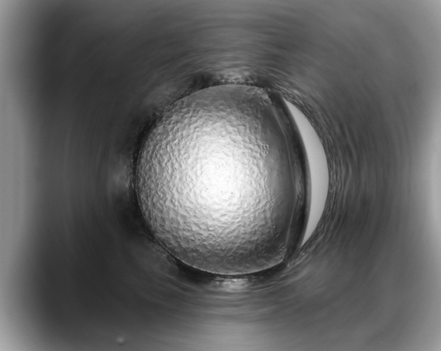 X0000088670665200706071501