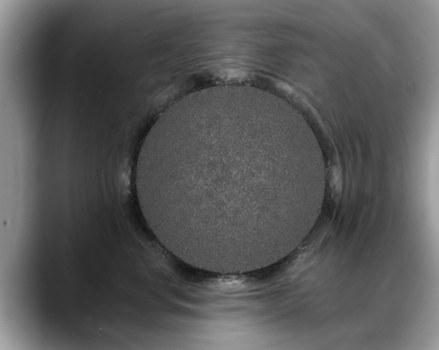 X0000088670668200706071501