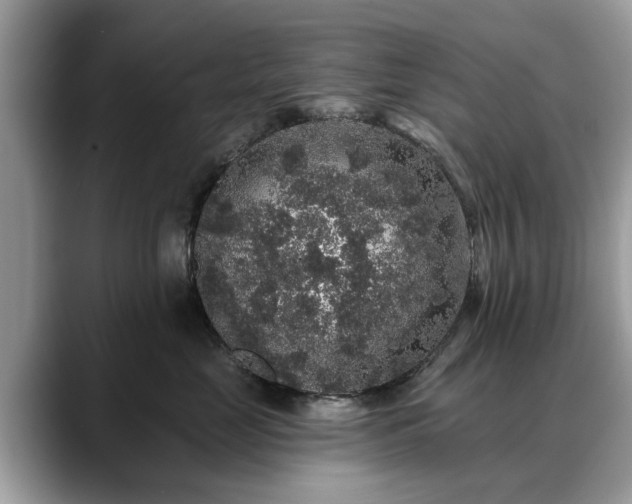 X0000088670669200706071501